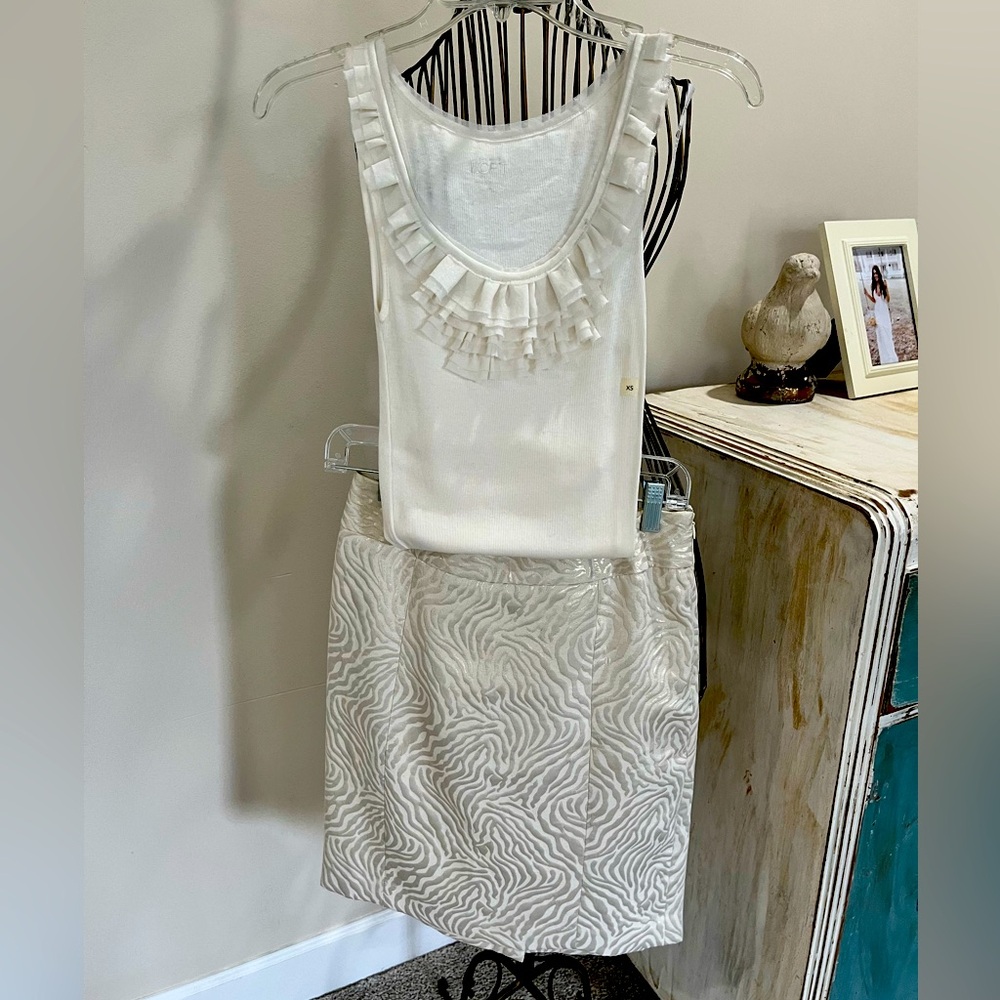 Ann Taylor Loft skirt set